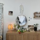 반려동물 간식 이미지