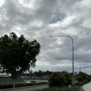 삼주농장 | [호주워홀/브리즈번]딸기농장 데이오프 알차게 보내자!! | 근무 첫 날 기록(D+59)