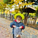 보물섬어린이집 이미지