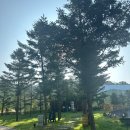 유알풀빌라 | [원주 펜션]끝내줬던 &#39;원주 유알풀빌라&#39; &#39;N3&#39; 독채펜션 수영장펜션 후기