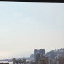 에버뷰 | 을왕리 애견동반 숙소 추천 🐶 에버뷰 펜션 오션뷰 후기