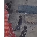 신난다~ 이미지