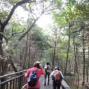 관악산 무장애숲길 이미지