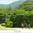 김용사 주차장 이미지