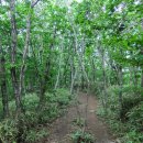 제603차(15-23) 순천 조계산(887m) 정기산행(2015년 6월 6일) 이미지