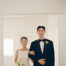 보색의연정필름