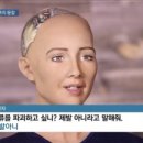 녹색미학 이미지