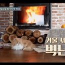 정남 민박 네이버블로그