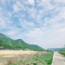 생림도요생태공원 이미지