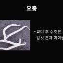 기생충으로 본 남녀관계 이미지