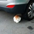 통영수월상회 이미지