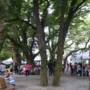 내서 삼풍대공원 이미지