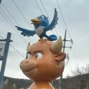더리터 옥포점 이미지
