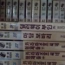 와이즈팻