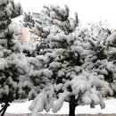 권선3공원 이미지