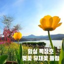 4/19 (수) 임실/옥정호 출렁다리-요산공원 이미지