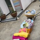 남천세탁 이미지