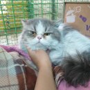 포스코대로 이미지