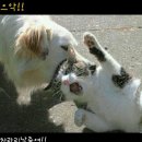 흠