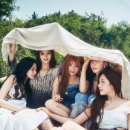 나인 일간스포츠