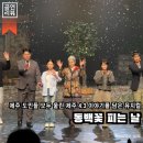 4.3 창작뮤지컬 동백꽃 피는 날 이미지