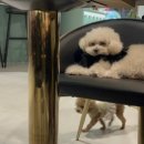 어거스트세븐(August7) 이미지