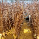 태조농장 이미지