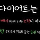 이지핏 다이어트