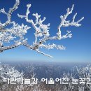 장구목이 펜션 | 정선 가리왕산 산행 1561m(2015.01.17) (한국의 100대 명산, 정선 가볼만한 곳 : 가리왕산자연휴양림...