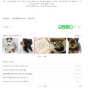 오케이독 부천점 - 반려동물 판매업(분양샵) 이미지