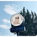개으른세상