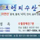 오렌지수산 이미지