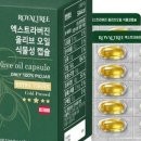 로얄트리 네이버블로그
