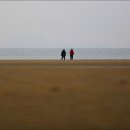 해송 Daum카페