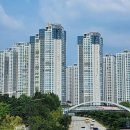 디딤돌부동산중개사무소 이미지