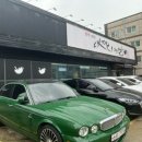 댓끼리짬뽕