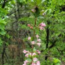 다물공인중개사사무소 이미지