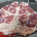 오리한마리 이미지