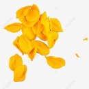 텔레이온 이미지