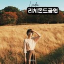 중앙사슴 | 사슴 볼 수 있는 런던 리치몬드 공원 정보 총정리 (2025년 기준)