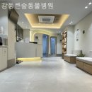 강동큰숲동물병원 | 경기광주 근처동물병원 강동큰숲동물병원 24시동물병원