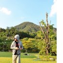 코리아 뮤직파크 이미지