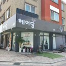 헤어당 이미지