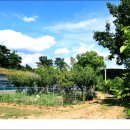 고성리산양목장 이미지