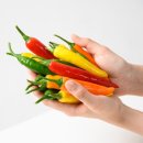 신진메디칼 이미지