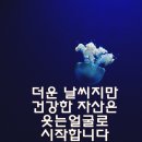 수원몽땅공인중개사사무소 이미지