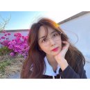 박솔미 카카오 검색결과