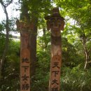 천하대장군 이미지