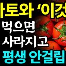 토마토와 함께 먹으면 보약되는 음식 3가지와 레시피 총정리! 값비싼 영양제 대신 '이것' 드세요 I 치매에 좋은 음식 I 이미지