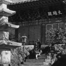 마음의 고향 이미지